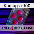 Kamagra 100 13